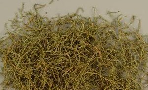 ����