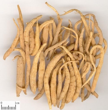 ̫�Ӳ�