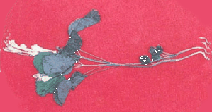 �υ�